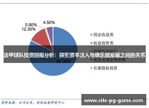 法甲球队投资回报分析：探索资本注入与俱乐部发展之间的关系