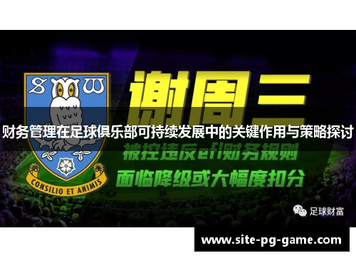 财务管理在足球俱乐部可持续发展中的关键作用与策略探讨