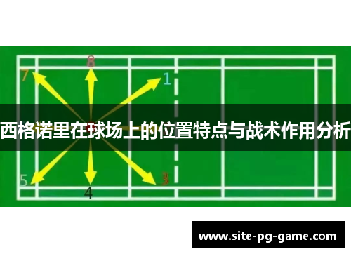 西格诺里在球场上的位置特点与战术作用分析