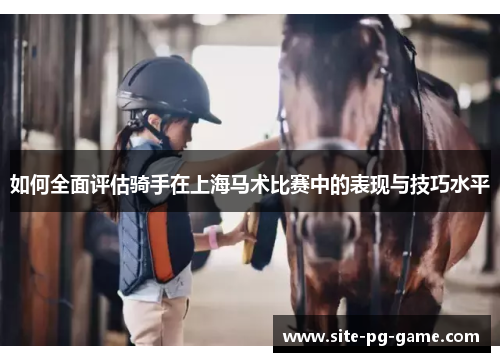 如何全面评估骑手在上海马术比赛中的表现与技巧水平